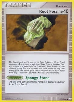 Fossile racine