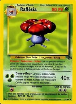 Raflésia