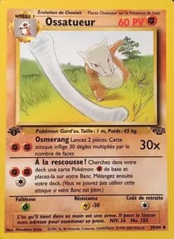 Ossatueur