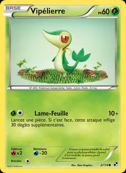 Vipélierre