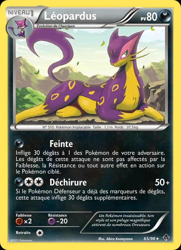 Léopardus