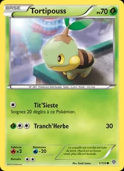Tortipouss