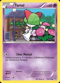 Tarsal