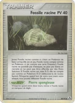 Fossile racine