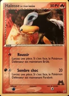 Malosse de Team Magma