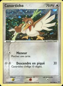 Canarticho