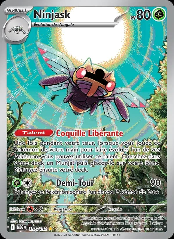 Ninjask