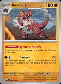 Rexillius