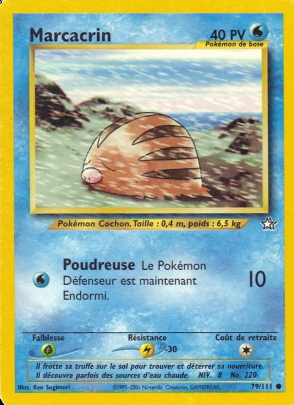 Marcacrin