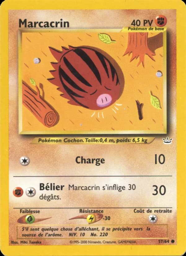 Marcacrin