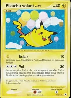 Pikachu volant Niv. 12