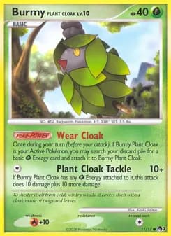 Cheniti Cape Plante