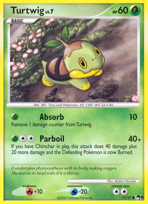 Tortipouss
