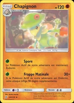 Chapignon