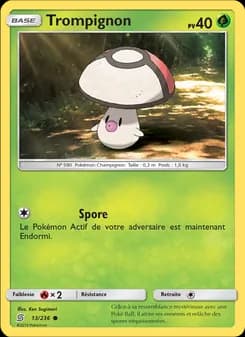 Trompignon