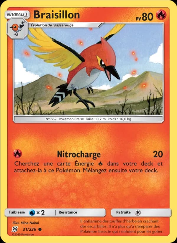 Braisillon