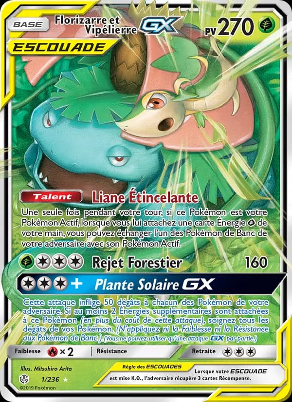 Florizarre et Vipélierre GX