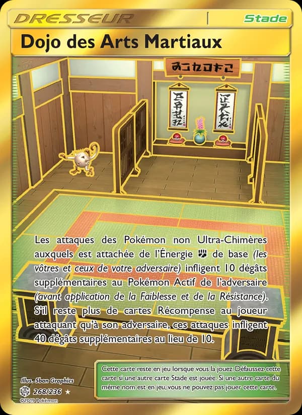 Dojo des Arts Martiaux