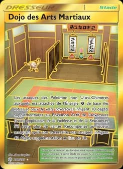 Dojo des Arts Martiaux