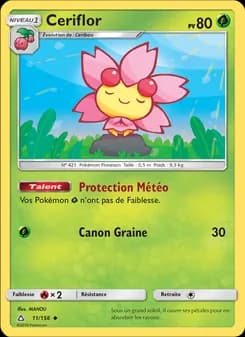 Ceriflor