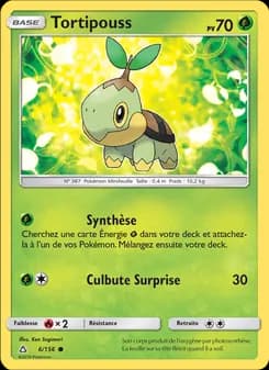Tortipouss