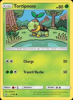 Tortipouss