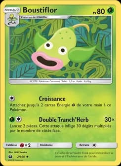 Boustiflor