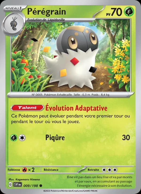 Pérégrain