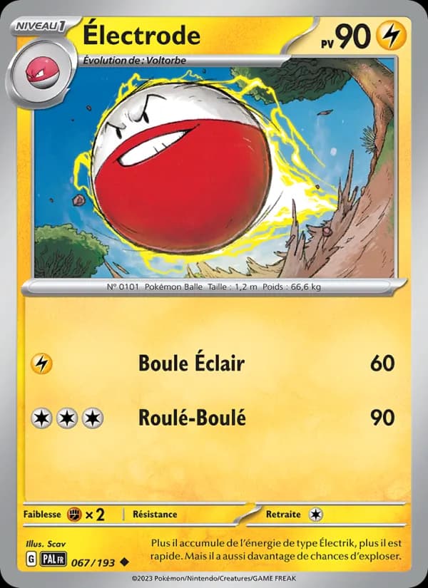 Électrode