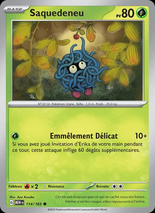 Saquedeneu