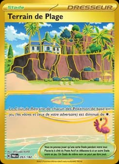 Terrain de Plage