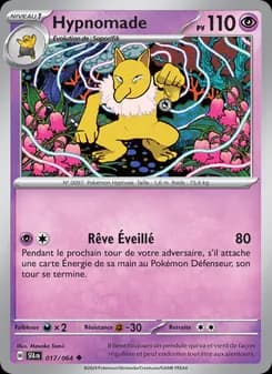 Hypnomade