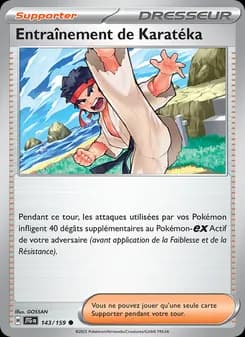 Entraînement de Karatéka