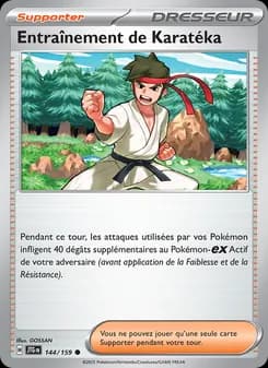 Entraînement de Karatéka