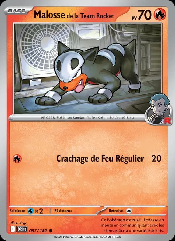 Malosse de la Team Rocket