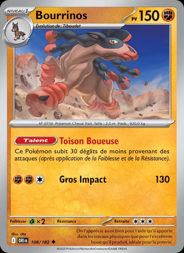Bourrinos