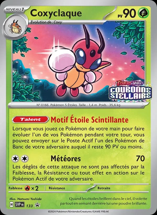 Coxyclaque