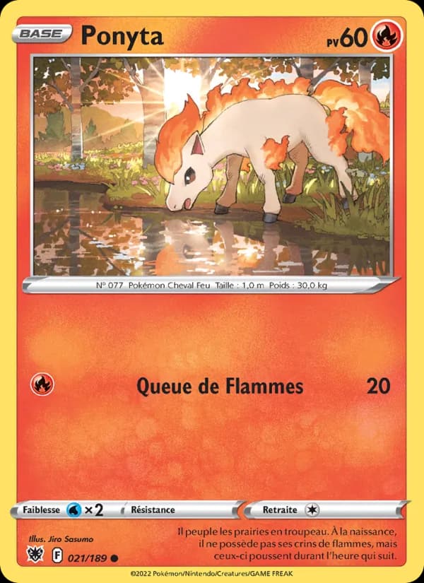 Ponyta