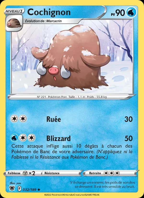 Cochignon
