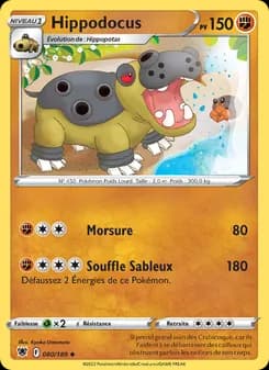 Hippodocus