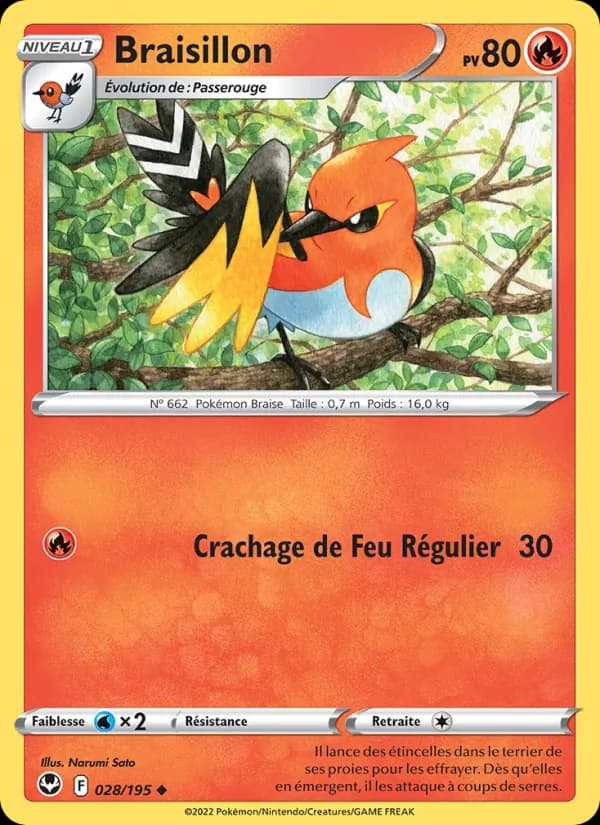 Braisillon