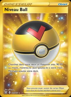 Niveau Ball