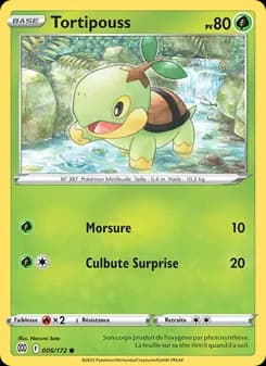 Tortipouss
