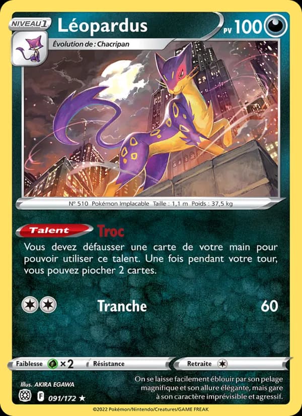 Léopardus