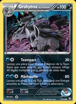Grahyèna de la Team Aqua