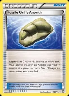 Fossile Griffe Anorith