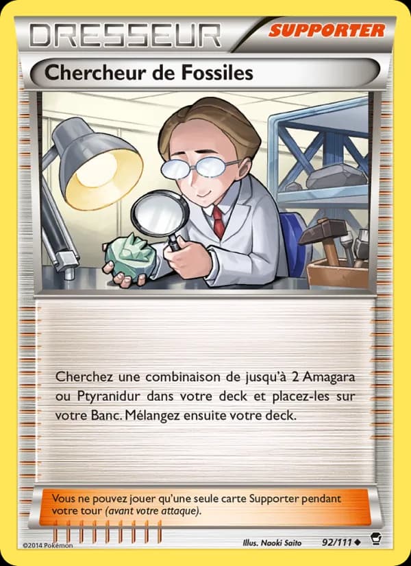 Chercheur de Fossiles