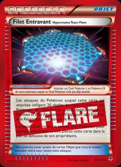 Filet Entravant Hypermatos Team Flare