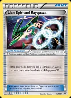 Lien Spirituel Rayquaza