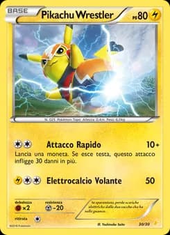Pikachu Catcheur